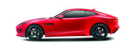 JAGUAR bildeler