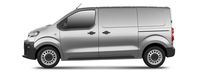 PEUGEOT bildeler