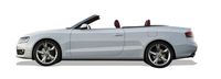 AUDI bildeler