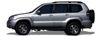 TOYOTA bildeler
