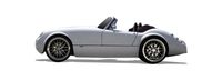 WIESMANN bildeler